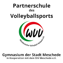 Partnerschule Volleyball