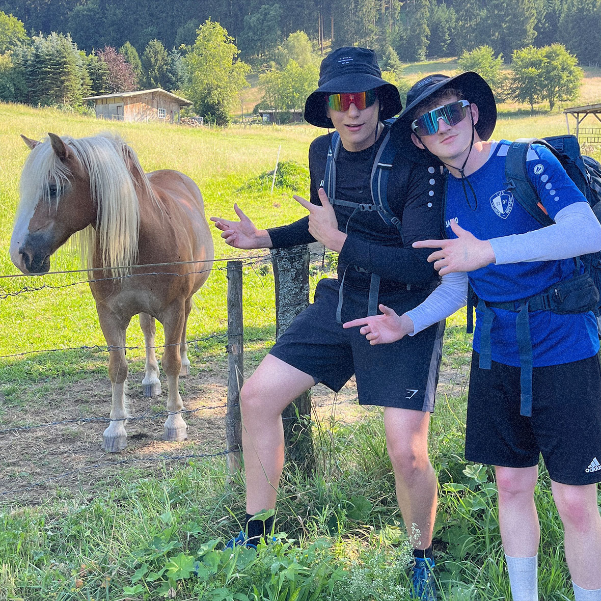 Pony